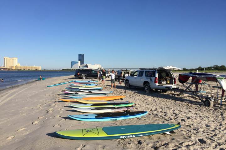 Surfboards lined up on a sandy beach with parked vehicles nearby.